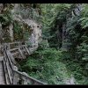 20120811_006